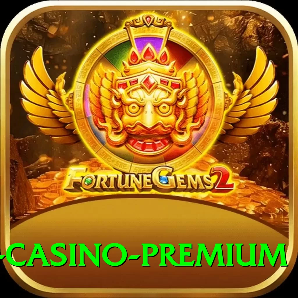 Bingo Patti Live Casino Premium - 2